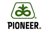 Семена рапса Pioneer PR45Н73 - фото 2