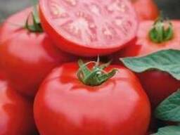 Семена томата - Томск F1