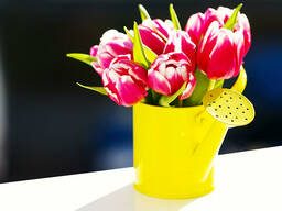 Семейная пара возьмёт дом дачу с постройками