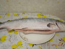 Семга (Лосось)