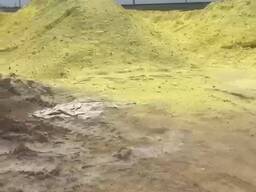 Сера