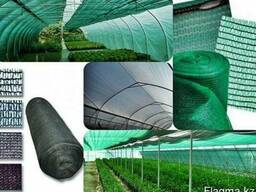 Сетка для теплиц 60% Защиты от Солнца