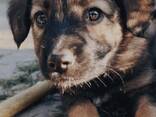 Щенки метисы от кинолога - фото 3