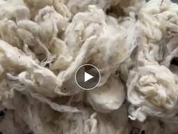 Шерсть мериноса мытая