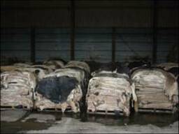 ШКУРЫ КРС кожа обработка кожы