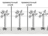 Шпалеры (столбы) оцинкованные для привязки винограда, малины - фото 3
