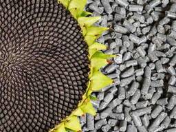 Шрот подсолнечника от 20 тонн!!!