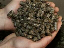 Шрот подсолнечный