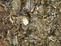 Шрот подсолнечный