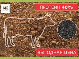 Шрот рапсовый (АСВ - 40%) во всех городах РК в наличии