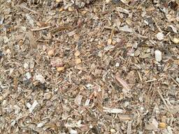 Силос кукурузный кормовой с зерном