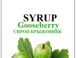 Сироп для кофе и коктейлей Jolly Jocker крыжовник