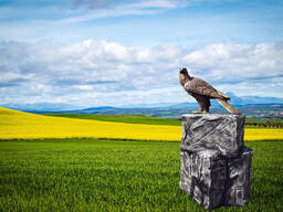 Скульптура Фигурки животных МАФ из бетона