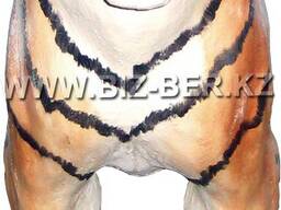 Скульптуры , фазоны , фонтаны ,