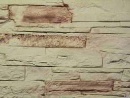 Сланец Рифейский 010