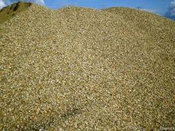 Сникерс (ПЩС)