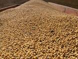 Соевый Шрот - фото 1