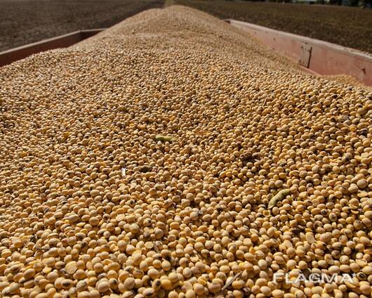 Соевый Шрот