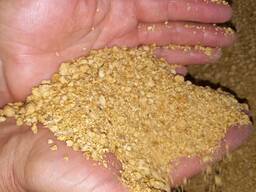 Соевый шрот