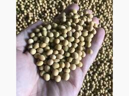 Продажа Соевого Шрота и Масла Оптом