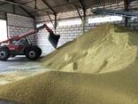 Соевый шрот жмых - фото 2