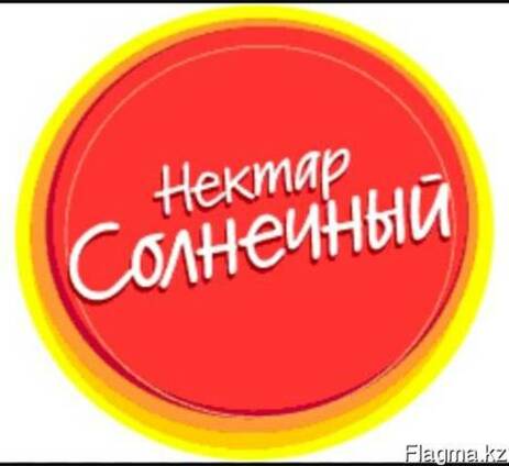 Сок Нектар Солнечный,Лимонад,Нектар Пэт бутылка