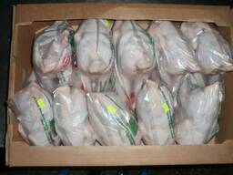 Сорпа тауықтарының қаңқасы 2 сорт