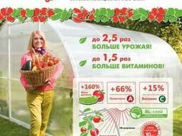 Сотовый поликарбонат для теплиц и парников