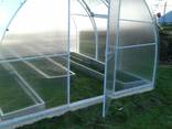 Сотовый поликарбонат для теплиц - фото 1