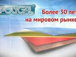 Ұялы поликарбонат Polygal (Израиль) 10 мм - фото 1