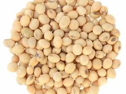 Соя: Абака, Ксена, Протон ЭН, СК Фарта, Топаз