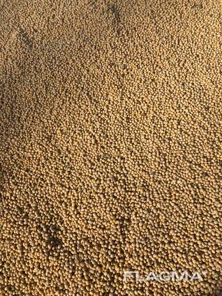 Перевозка 40НС