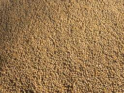 Перевозка 40НС