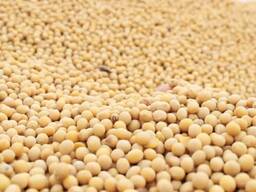 Соя (соевые бобы) протеин 37-39%