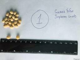 Соя, соевые бобы, семена сои, soybean цена DAP