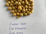 Соя, соевые бобы, семена сои, soy bean урожай 2024 - photo 1
