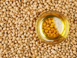 Soybean oil/ Соя майы