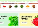 Создание сайтов, создать сайт, разработка сайтов, доработка сайта - photo 6