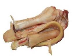 Становая жила КРС