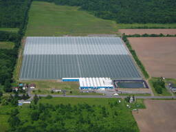 Стеклянные промышленные теплицы