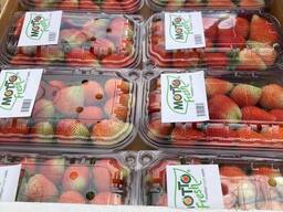 Strawbery fresh FRUİTS