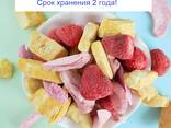 Сублимированные фрукты, ягода, йогурт ОПТ СНГ - фото 2