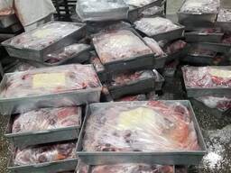 Субпродукты легкие сердце, печень конина