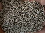 Суперфосфат, NPK, AFK Узбекистан - фото 3