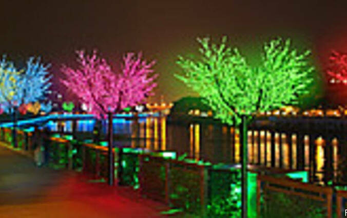 Как выглядит световое дерево