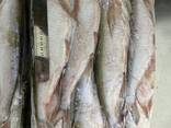Свежая, мороженая, вяленая рыба - photo 1
