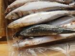 Свежемороженая РЫБА замороженное - photo 3