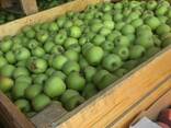 Яблоки 2019 Шымкент Голден - photo 1