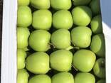 Яблоки 2019 Шымкент Голден - фото 3