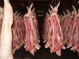 Свинина тушами, полутушами в Астане - фото 2